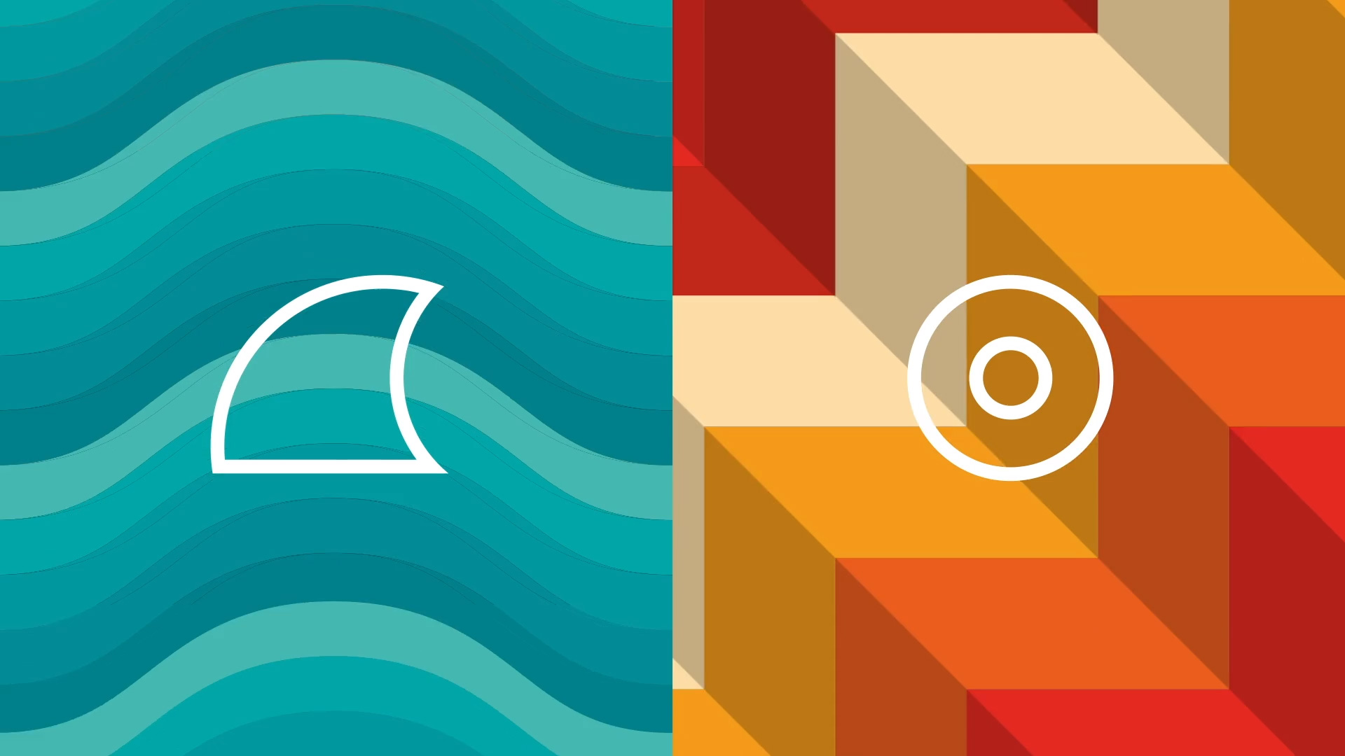 Paris Surf & Skateboard Film F 